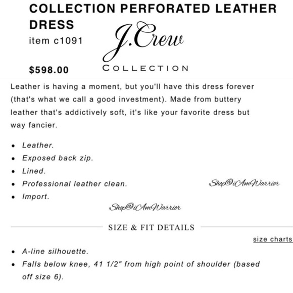 J.Crew Collection NWT rare ecru perforated leather a-line dress *shop@iamwarrior - Picture 5 of 11